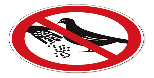 Wir sichern Ihr Objekt nachhaltig gegen Taubenkot